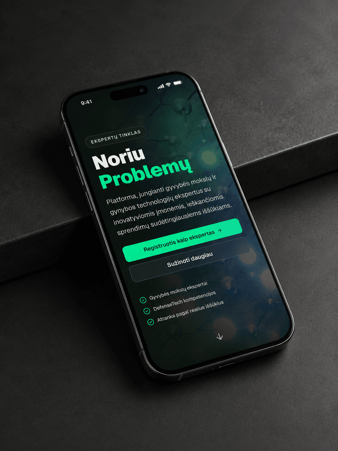 noriuproblemu projekto peržiūros paveikslėlis